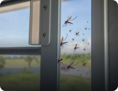 Plasă anti-insecte montată la fereastră