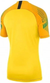 Tricou pentru portar Nike M NK GARDIEN II GK JSY SS galben - Img 2