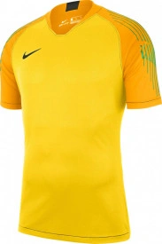 Tricou pentru portar Nike M NK GARDIEN II GK JSY SS galben