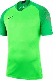 Tricou pentru portar Nike M NK GARDIEN II GK JSY SS verde