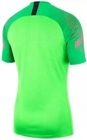Tricou pentru portar Nike M NK GARDIEN II GK JSY SS verde - Img 2