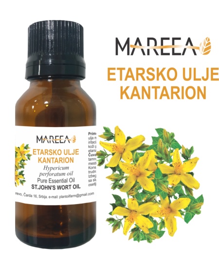 ETARSKO ULJE KANTARION 5ML - Img 3
