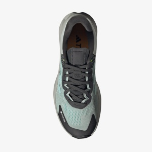 Adidas TERREX SOULSTRIDE F WONSIL - Img 3