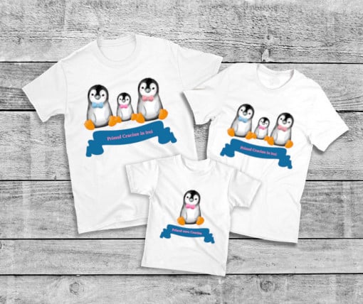 Set Printat Pinguini