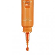 Fard de obraz lichid, Bourjois, Healthy Mix Sorbet Blush, 02 Apricot, 20 ml