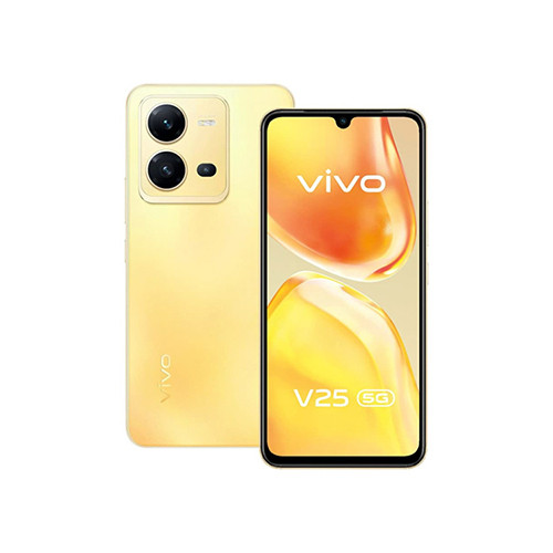 Huse Vivo V25