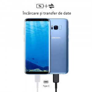 Cablu de Date Type-C la Type-C Fast Charging 3A, 1.8m - Samsung (EP-DX310JBE) - Black (Bulk Packing) - Img 5