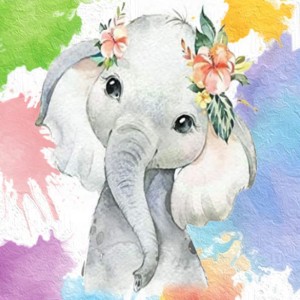 Set de pictură diamant elefant alb