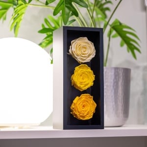 Trandafiri Eterni Forever Roses – Flori Colombiene Autentice, Rezistente Fără Apă sau Lumină, 3 bucati, galbeni - Img 4