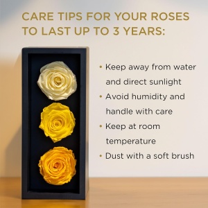 Trandafiri Eterni Forever Roses – Flori Colombiene Autentice, Rezistente Fără Apă sau Lumină, 3 bucati, galbeni - Img 6