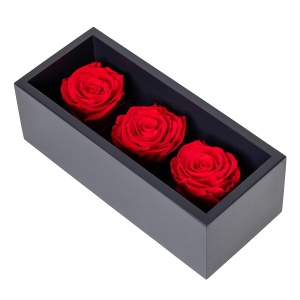 Trandafiri Eterni Forever Roses – 100% Naturali, Flori Colombiene Premium, Rezistenți Fără Apă sau Soare, 3 bucăți, roșu