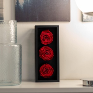 Trandafiri Eterni Forever Roses – 100% Naturali, Flori Colombiene Premium, Rezistenți Fără Apă sau Soare, 3 bucăți, roșu - Img 3