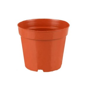 Set 50 ghivece din plastic, Lechansen, pentru gradinarit - Img 1
