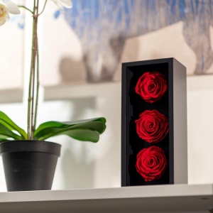 Trandafiri Eterni Forever Roses – 100% Naturali, Flori Colombiene Premium, Rezistenți Fără Apă sau Soare, 3 bucăți, roșu - Img 4