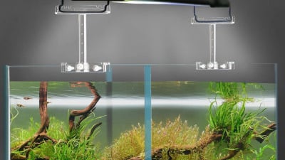 Cum alegem lampa pentru acvariu?!