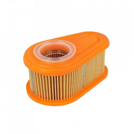 Filtru de aer Briggs & Stratton Dov 792038