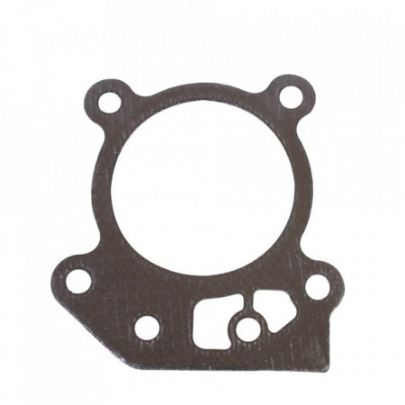 Garnitura de chiuloasa Briggs & Stratton 799586