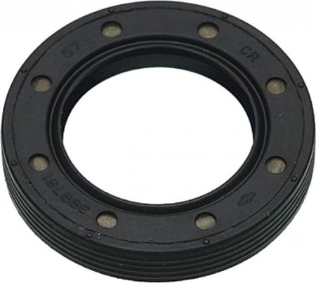 Simering inferior Briggs&Stratton Quantum 399781S