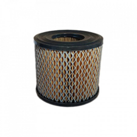 Filtru aer Briggs & Stratton, 390930, 393957