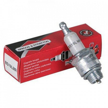 Bujie Briggs & Stratton BS19LMR