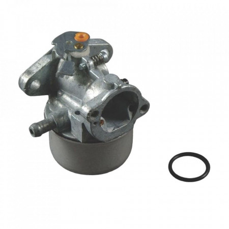 Carburator Briggs&Stratton 496114