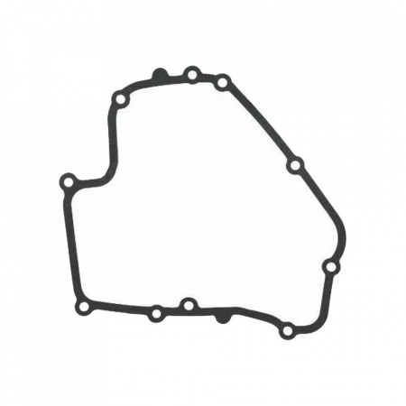 Garnitura carter Briggs&Stratton Dov 793445