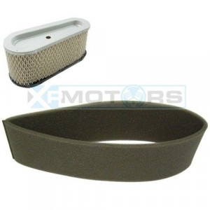 prefiltru de aer briggs stratton lacrima