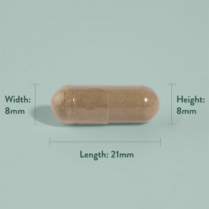 Бабини зъби (Tribulus Terrestris Extract) 250mg 90 капсули, H&B - Img 2