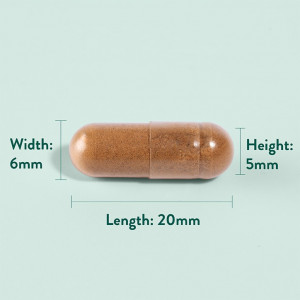 Артишок екстракт (Artichoke Extract) 350мг 60 капсули, H&B - Img 3