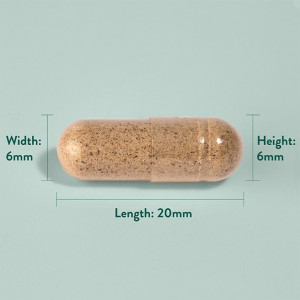 Салвия (Sage Leaf) (градински чай) 285мг 100 капсули, H&B - Img 3