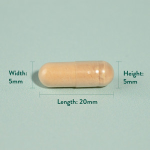Бял трън екстракт (Milk Thistle) 60 капсули, H&B - Img 3