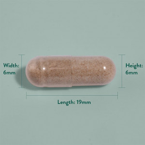 Мака екстракт от корен (Maca Root Extract) 500mg 90 капсули, H&B - Img 4