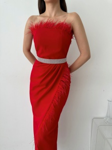 Rochie eleganta lunga cu pene - Img 1