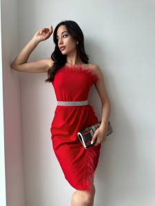 Rochie de stofa cu pene Cod:R8962 - Img 3