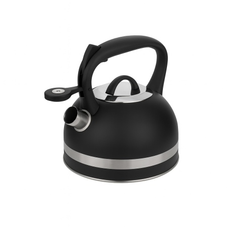 Ceainic inox cu fluier ZILAN, 3L, baza larga, design negru, ZLN1283, negru
