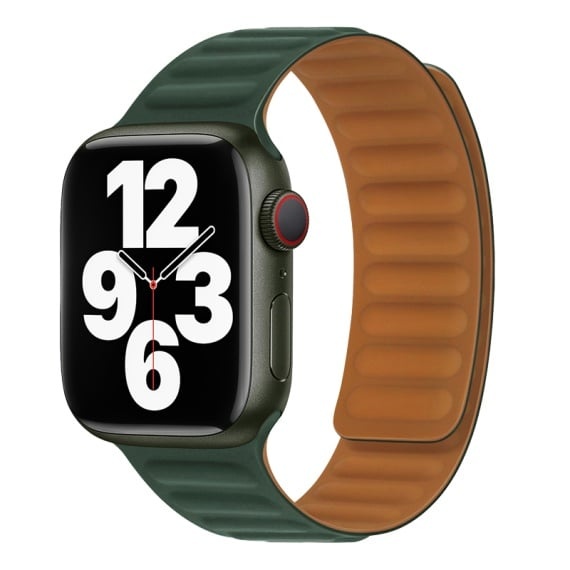 Hoco WA21 - Curea pentru iWatch 38/40/41mm, Magnetic Chain, Silicon, Verde