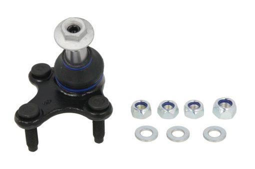 Pivot axa Dreapta (diametru con 15,2mm) potrivit AUDI A3, Q2, Q3; CUPRA ATECA, FORMENTOR, LEON, LEON SPORTSTOURER; SEAT ALHAMBRA, ATECA, LEON, LEON SC, LEON SPORTSTOURER 1.0-3.6 08.04-