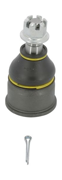 Pivot axa Dreapta/Stanga (inferior fata) (diametru con 16mm) potrivit HONDA CIVIC V, CIVIC VI, CR-V I, CRX III, INTEGRA, PRELUDE V; MG MG ZS; ROVER 400 II, 45 I 1.3-2.2 10.91-10.05