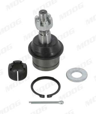 Pivot axa Dreapta/Stanga (inferior fata) (diametru con 21,1mm) potrivit JEEP GRAND CHEROKEE II, WRANGLER I, WRANGLER II, WRANGLER III 2.5-4.7 12.91-
