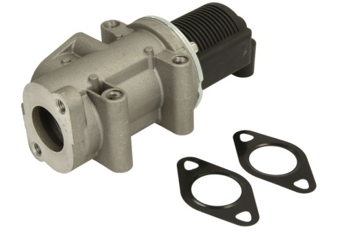 Supapa EGR potrivit FIAT DOBLO, DOBLO/MINIVAN, IDEA, PALIO, PUNTO, PUNTO/HATCHBACK, STRADA; LANCIA MUSA 1.9D 09.99-