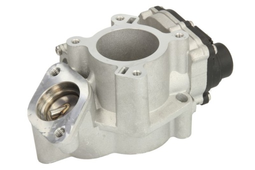 Supapa EGR potrivit NISSAN PRIMASTAR, QASHQAI I, X-TRAIL, X-TRAIL II; OPEL VIVARO A; RENAULT ESPACE IV, GRAND SCENIC II, KOLEOS I, LAGUNA, LAGUNA II, LAGUNA III, MASTER III, MEGANE II 2.0D/2.3D 08.05-