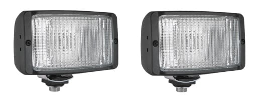 Lumini zi Dreapta/Stanga 12V P21W WESEM (2 buc, cu becuri)