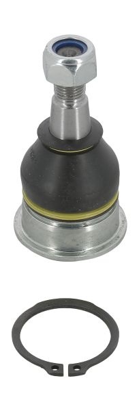 Pivot axa Dreapta/Stanga (inferior fata) (diametru con 16,5mm) potrivit CITROEN C1, C1 II; PEUGEOT 107, 108; SUBARU TREZIA; TOYOTA AYGO, AYGO/HATCHBACK, IQ, MR2 III 1.0-1.8 04.99-