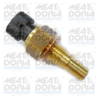 Senzor temperatura lichid racire (numar pini: 2, negru) potrivit ALFA ROMEO 145, 146; CADILLAC CTS, ESCALADE; CHEVROLET ALERO, AVALANCHE, AVEO / KALOS, CAMARO, CAPTIVA, CAVALIER 0.8-6.0 09.84-