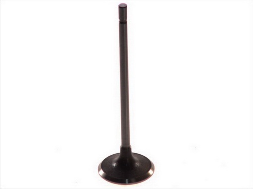 Supapa admisie (32,4x5,5x109,2) potrivit DACIA LOGAN; RENAULT CLIO II, CLIO III, GRAND SCENIC II, KANGOO, KANGOO EXPRESS, LAGUNA I, LAGUNA II, MEGANE I, MEGANE I CLASSIC 1.4/1.6 11.97-