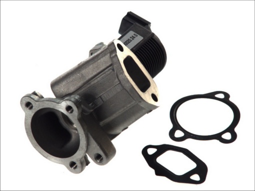 Supapa EGR potrivit FIAT 500, 500 C, DOBLO, DOBLO/MINIVAN, FIORINO/MINIVAN, GRANDE PUNTO, IDEA, PALIO, PANDA, PANDA/HATCHBACK, PUNTO, PUNTO EVO, PUNTO EVO/HATCHBACK, PUNTO/HATCHBACK 1.3D 06.03-