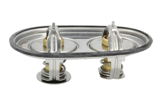 Termostat lichid racire (89°C/96°C) potrivit SCANIA G I, G II, L, P I, P II, R I, R II, S DC09.119-DC13.174 04.04-
