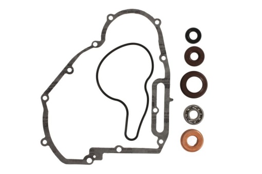 Set reparatie pompa apa potrivit POLARIS RANGER, RZR, SPORTSMAN 800 2011-2016