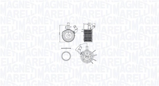 Radiator ulei potrivit DACIA LOGAN, LOGAN EXPRESS, LOGAN MCV; RENAULT CLIO II, CLIO II/HATCHBACK, CLIO III, GRAND SCENIC II, KANGOO, KANGOO EXPRESS, LOGAN I, MEGANE II, MEGANE II/KOMBI 1.5D 06.01-