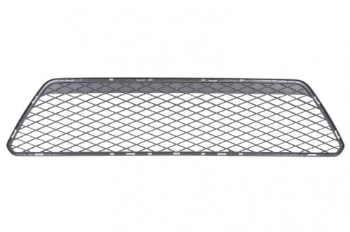 Grila bara fata mijloc, plastic FORD FOCUS decapotabila intre 2004-2008